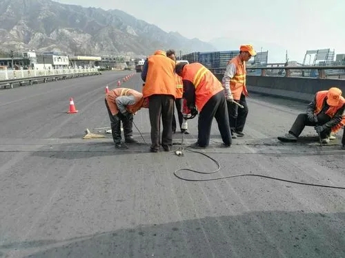 沁水道路桥梁病害治理